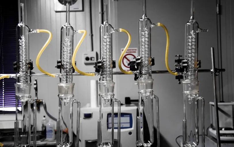 Does Olive Oil Freeze? The Truth About the Fridge Test (And What It Really Means for Quality) - PelopsGreekGoods