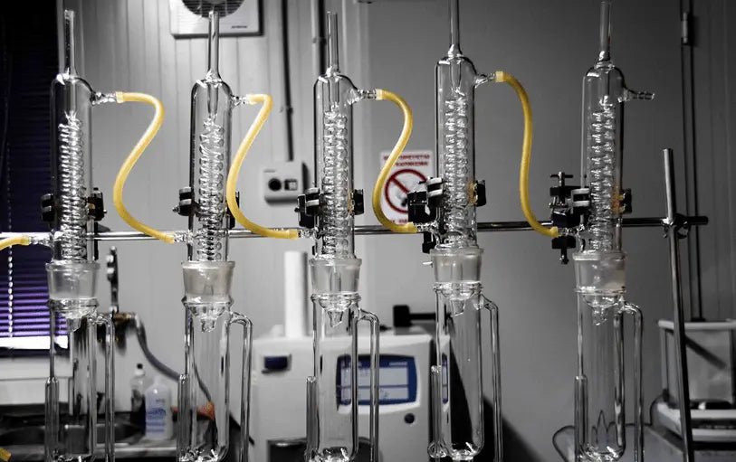 The Freezing Test for Extra Virgin Olive Oil – A Persistent Myth - Pelops